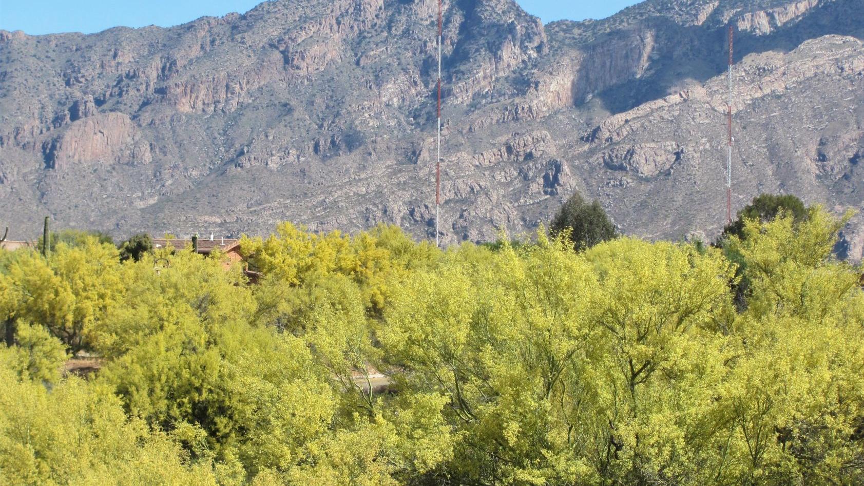 Expect warm temperatures in Tucson today, cooler temperatures this weekend